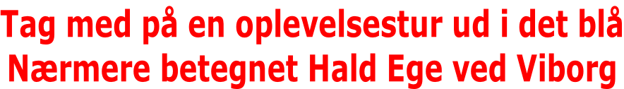 Tag med på en oplevelsestur ud i det blå Nærmere betegnet Hald Ege ved Viborg